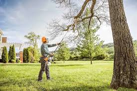 How Our Tree Care Process Works  in Tybee Island, GA